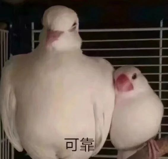 微信图片_20241119141925.jpg 微信图片_20241119141925.jpg