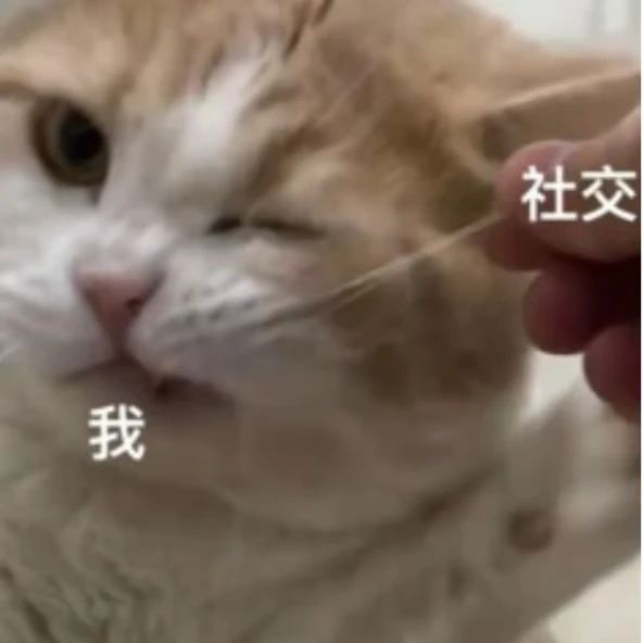 微信图片_20241119141912.jpg 微信图片_20241119141912.jpg