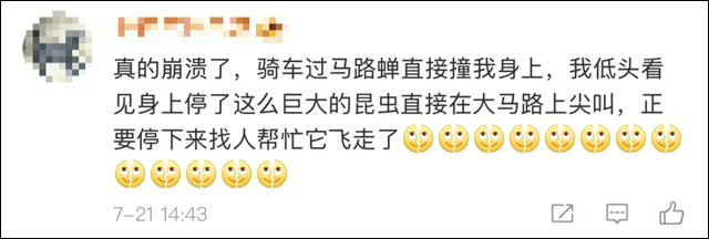 微信图片_20250723154836.jpg