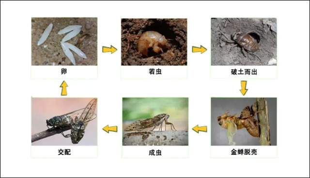 微信图片_20250723154946.jpg