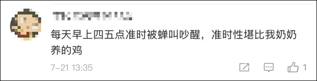 微信图片_20250723154831.jpg