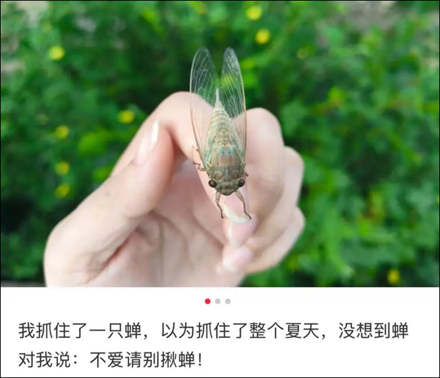 微信图片_20250723154950.jpg