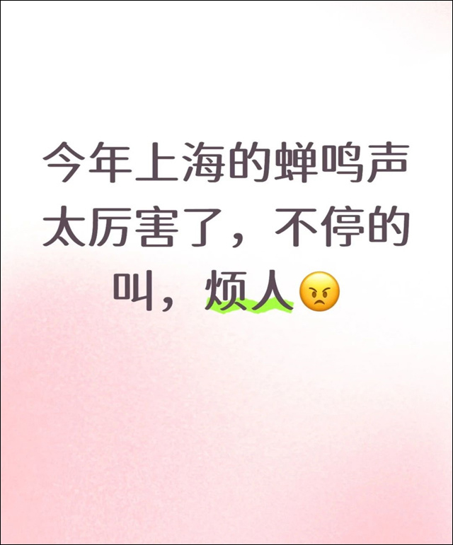 微信图片_20250723154839.jpg