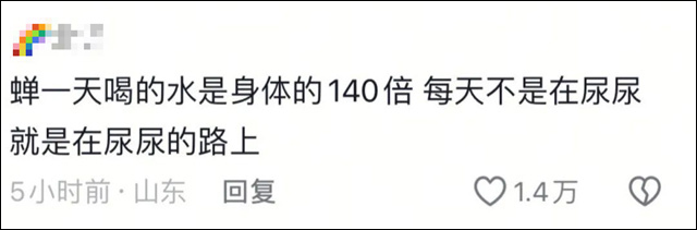 微信图片_20250723154857.jpg