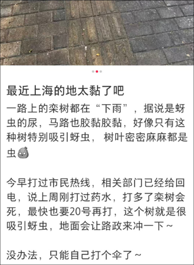 98761769-299b-4bc1-acdc-2211eceddcd3.jpg