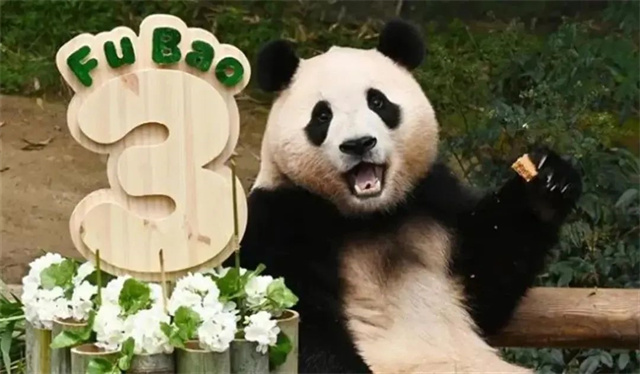 微信图片_20240305132709.jpg 微信图片_20240305132709.jpg