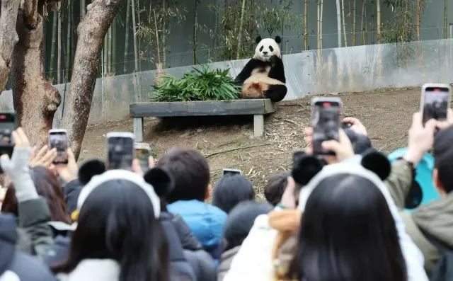 微信图片_20240305132724.jpg 微信图片_20240305132724.jpg