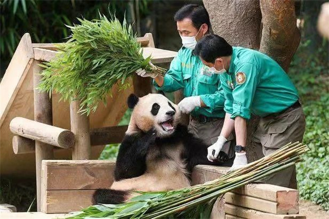 微信图片_20240305132729.jpg 微信图片_20240305132729.jpg